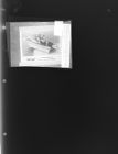 Reshoot: Sport Picture - Boat (1 Negative) March 29 - 30, 1965 [Sleeve 68, Folder c, Box 35]